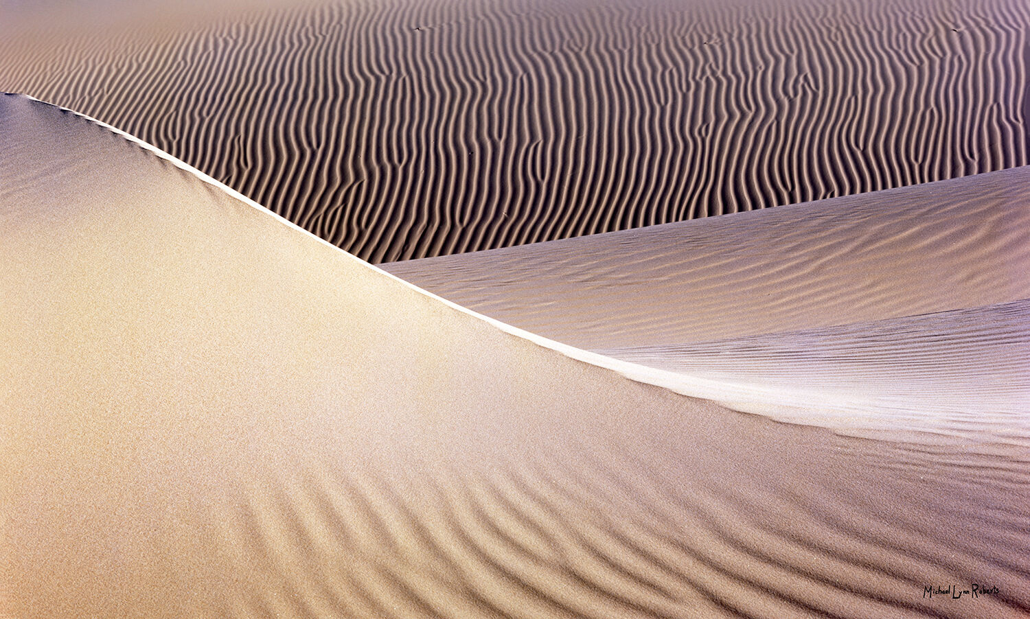 An abstract image of sand dunes showing the interplay of textures, light, and shadows.